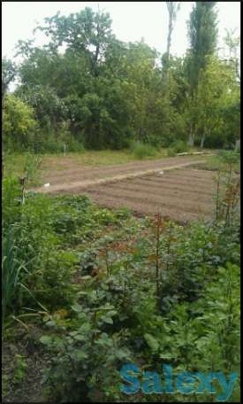 Продаётся Дача в Ангрене!, фотография 2