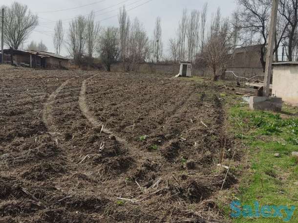 Земульный участок в Уртасарае 1 Га (100соток), Таш.обл. посёлок Уртасарай, фотография 5