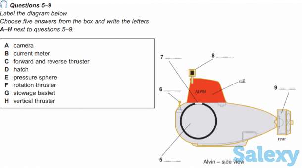 ОНЛАЙН подготовка к IELTS Academic в группе, фотография 10