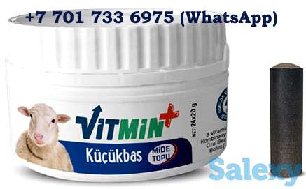 Надёжная защита здоровья быков, коров и овец, фотография 1