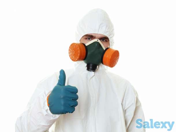 Дезинфекция, Дезинсекция, Дератизация, фотография 1