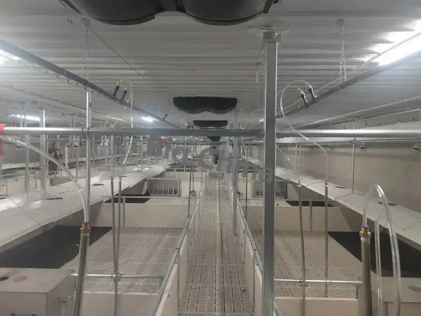 Оборудование Big Ducthman для свинокомплекса по выращиванию свиней из Китайского производителя., фотография 12