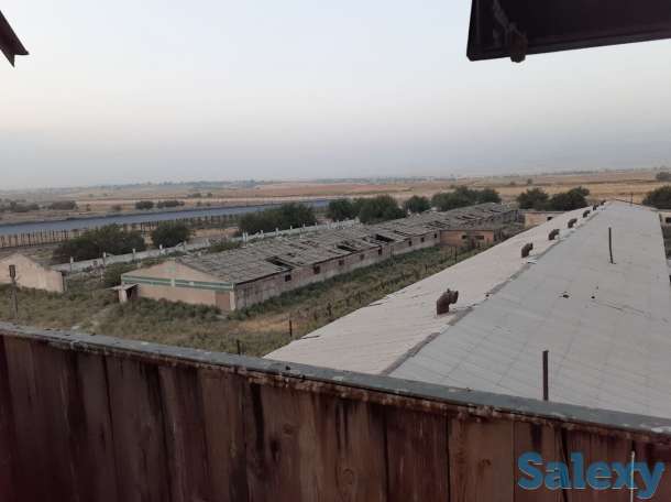 Срочно ! Продается ферма в Ахангарнаском районе, фотография 4