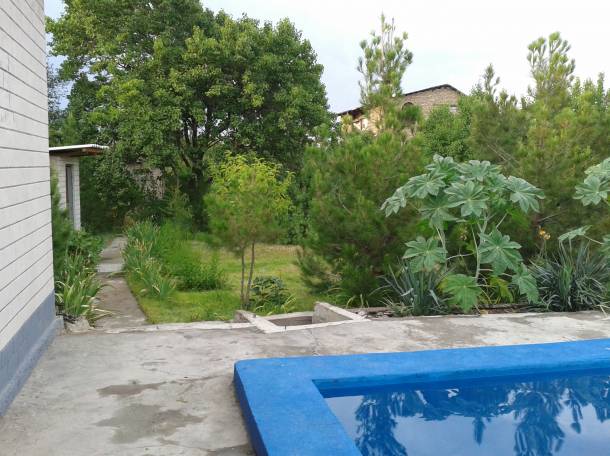Дача в аренду с большим басейном, фотография 5