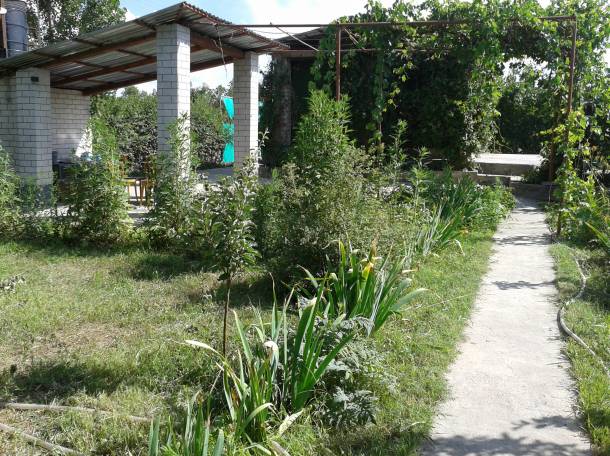 Дача в аренду с большим басейном, фотография 6