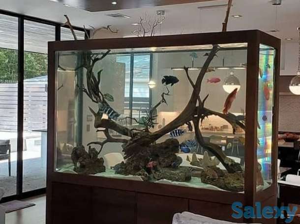 чистка аквариум по доступным ценам, фотография 4