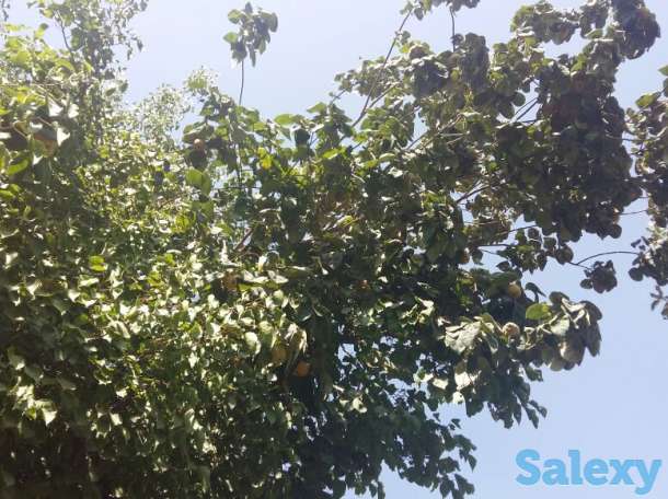 Продам дом с участком в ташкенте, срочно!, байсунская ул., д.7, фотография 12