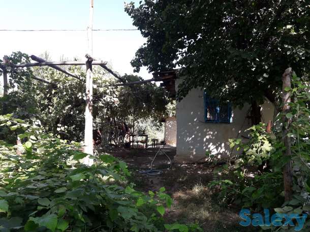 Продам Дачу, Ташкентская область, фотография 2