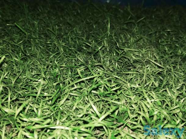 Искусственный газон для оформления живых уголков., фотография 5