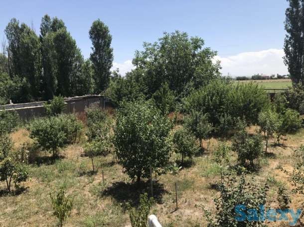 Частный дом на продажу с большим участком 12 соток, фотография 3