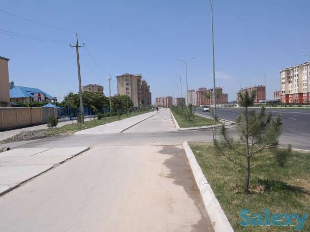 Аренда, Узбекистан, Янгихаётский район, махалля Янги Турмуш, фотография 2