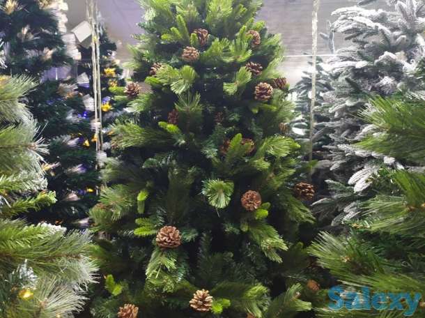 Елки 1 м - 25 м, фотография 3