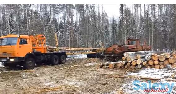 Качественный лес из регионов Дальнего Востока России, фотография 8