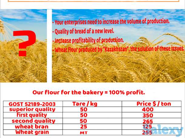 Мука пшеничная производства Казахстан оптом, фотография 2