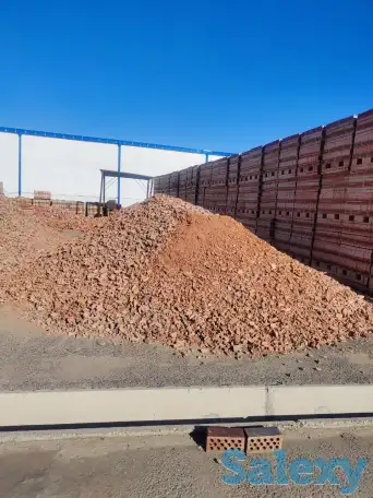 Кирпичная крогка, фотография 1