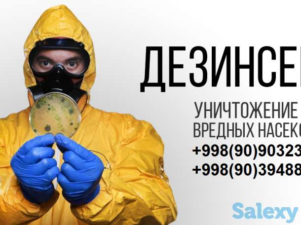 Компания 