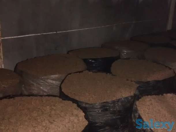 готовим на заказ компост и мицелий, фотография 3