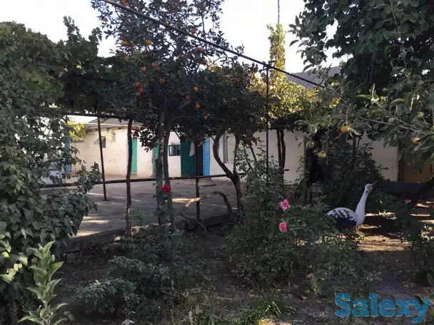 Продается дом в Tашкентской области с большим участком, гаражом и садом с фруктовыми деревьями, фотография 2