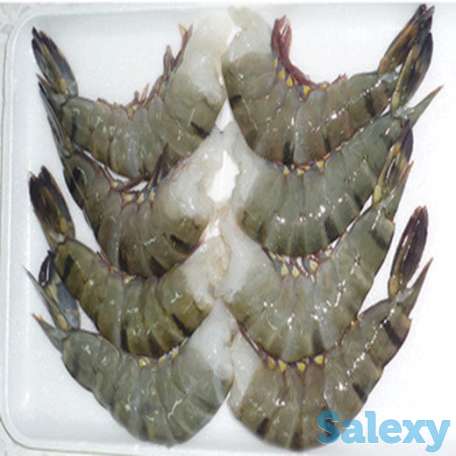 Поставки морепродуктов во Вьетнам || Поиск вьетнамских морепродуктов, фотография 6