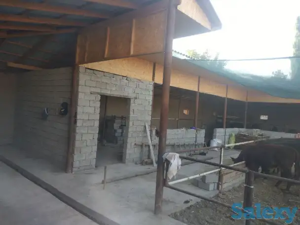 Продажа Ферма Дача, ТашОбл Юкори Чирчик Янги Бозор дахаси, фотография 3