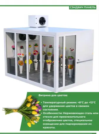 Строительство холодильных камер с нуля, фотография 4