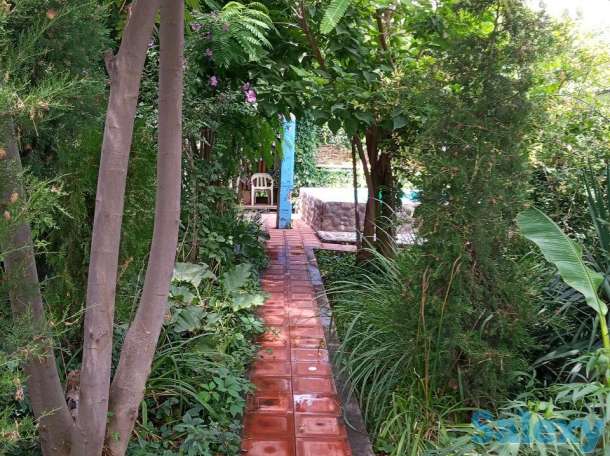 Суточно Дача со всеми условиями. Гольф клуб 4 км., фотография 14