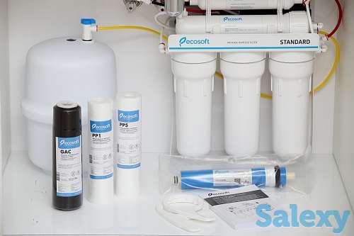Фильтр для очистки воды Ecosoft Standard с насосом, фотография 5