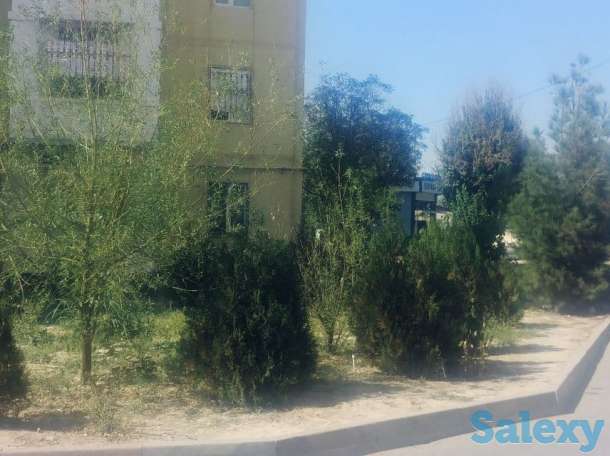 4/1/9 на корасу 6 квартира продаётся, мирзо улугбекский р-н, фотография 3