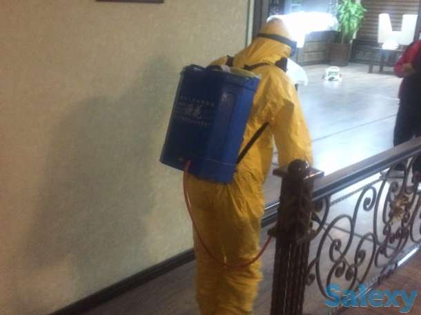 Дезинфекция от насекомых, фотография 4