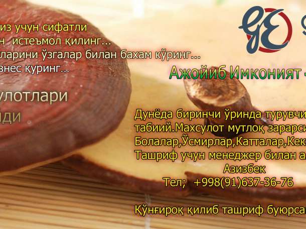 Gano Shifo. Ganoderma bilan davolash, фотография 4