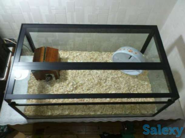 Большой террариум для хомяков и не только + бонус, фотография 1