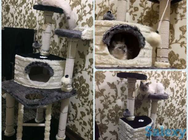 Когтеточка для кошки. Игровой комплекс для кошки. Дом для кошки., фотография 9