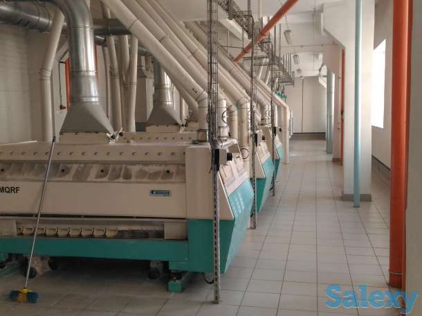 Увеличение выхода и улучшение качества муки, фотография 4