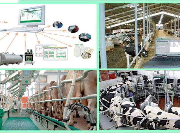 Доильные аппараты для коров, фотография 4