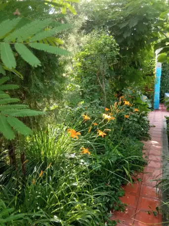 Продам Дом - Дача .Кадастр Яшнабадский район , возле реки Чирчик, фотография 5