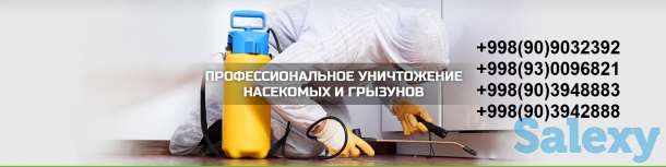 Компания 