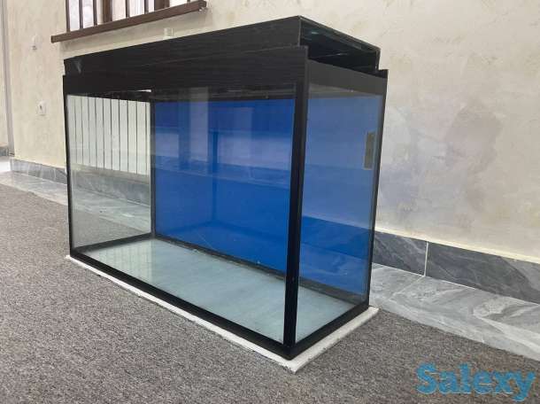 Akvarium, фотография 5