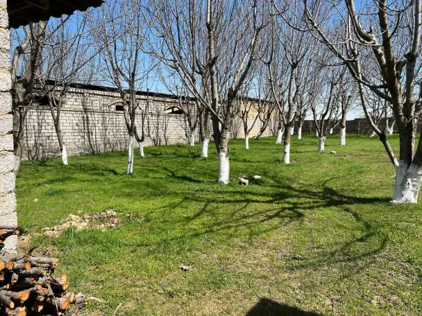 Ер сотилади. 12сотих.Назатбекдан утганда, фотография 1