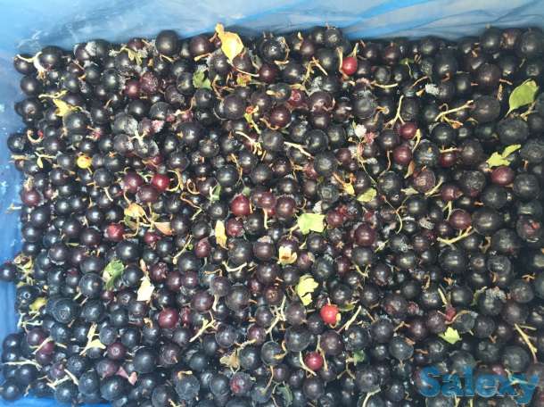 Замороженные фрукты и ягоды, фотография 1