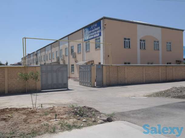 Аренда, Узбекистан, Янгихаётский район, махалля Янги Турмуш, фотография 1