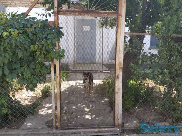 Продам коттедж 110 м2, область, Зангиатинский район, фотография 8