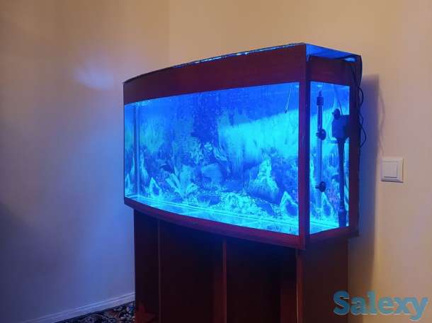 чистка аквариум по доступным ценам, фотография 1