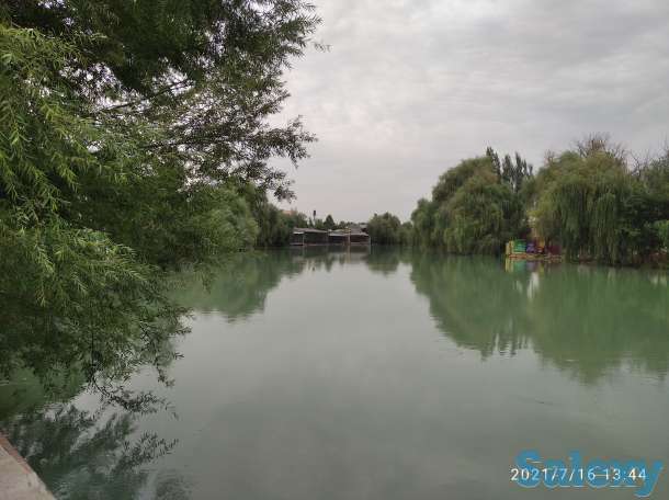 Коттедж практически в Ташкенте, Ташгрэс, фотография 4