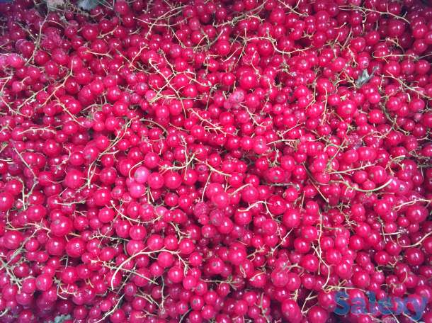 Замороженные фрукты и ягоды, фотография 4