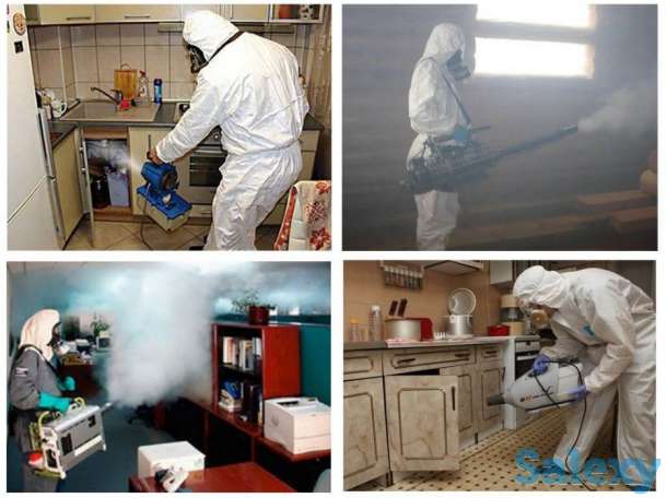 Дезинфекция от клопов и насекомых! Гарантия и Скидки!, фотография 3