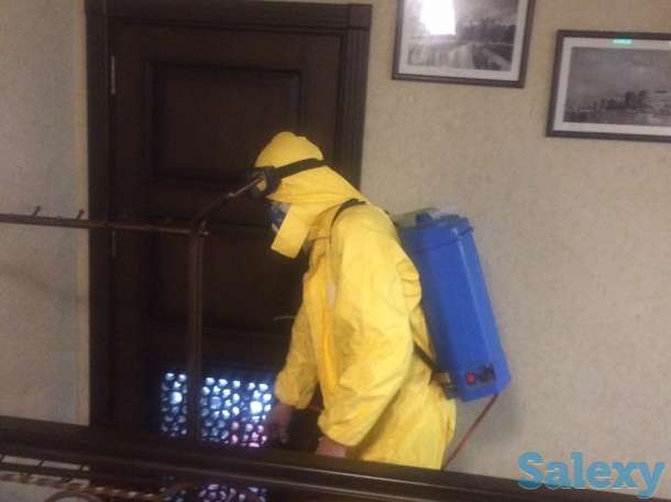 Дезинфекция от насекомых, фотография 3