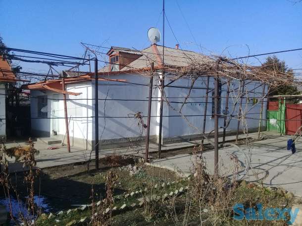 Продается два дома на окраине Чирчика, поселок Азадбаш, фотография 8