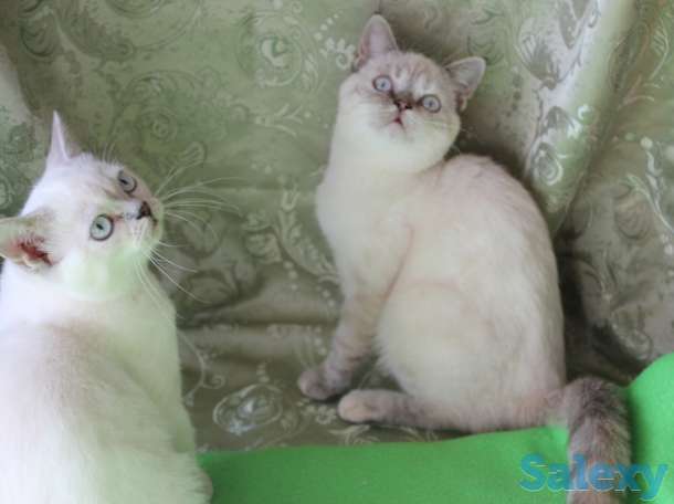 Нежное облако, фотография 3