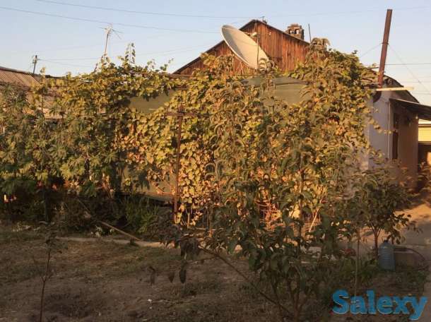 Продам дом, Мирабадский район, за рестораном ЧенСон, фотография 2
