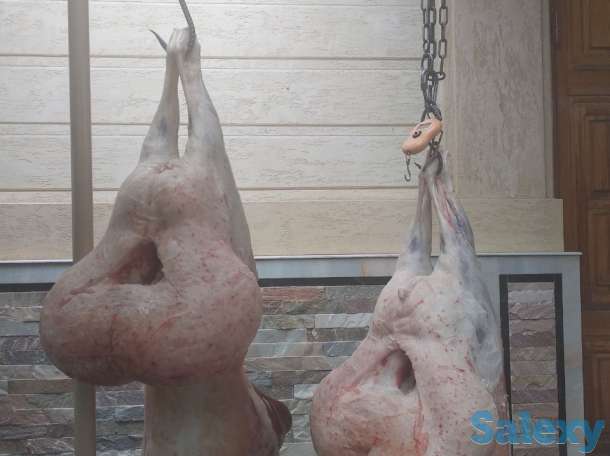 Кассоб сервис, Мясник Шер, фотография 3